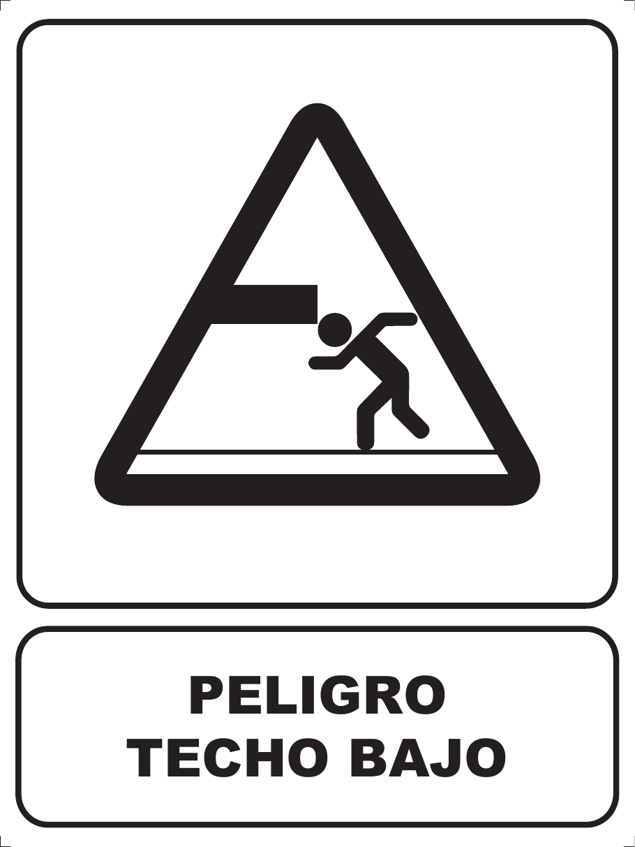 Techo bajo